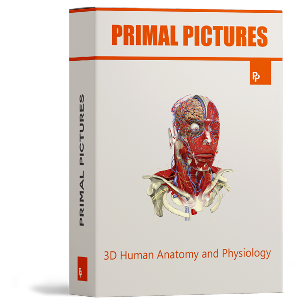 Primal Pictures 3D Human Anatomy Individual Subscription 12 Months